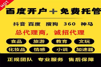 行业领先的SEM优化案例：提升品牌曝光率